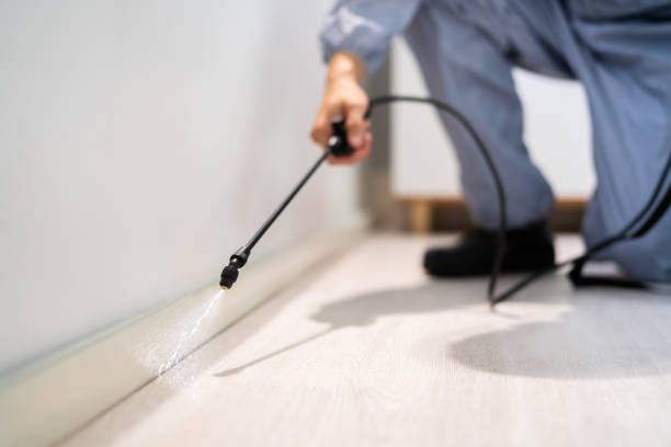 Licensed Cockroach Control service in Vienna, IL - Nex Pest Control