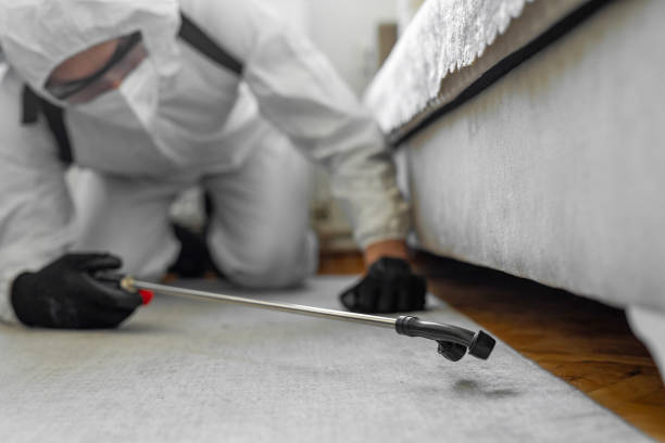 Professional Cockroach Control technician working in Vienna, IL